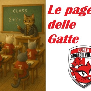 VOLLEY A1F PLAY-OFF CHALLENGE CUP / Bergamo-Honda Cuneo 2-3, le pagelle delle Gatte