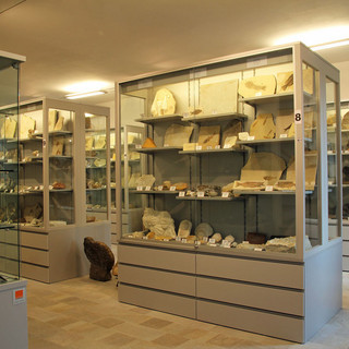 La collezione geologica più antica del Piemonte in mostra a Bernezzo