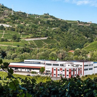 Santo Stefano Belbo: cantina Vallebelbo annuncia &quot;alleanza strategica&quot; con Veraison Group