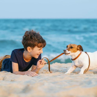Vacanza con il cane? Ecco perché l’Isola di Albarella è molto più di una meta pet-friendly